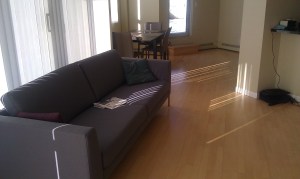 Living room furnished