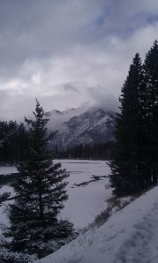 View from our walk in Banff