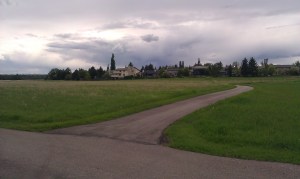 Fields of grass inside the city